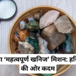 ऐसे कौन से महत्वपूर्ण खनिज हैं जिनका हर कोई एक टुकड़ा चाहता है?